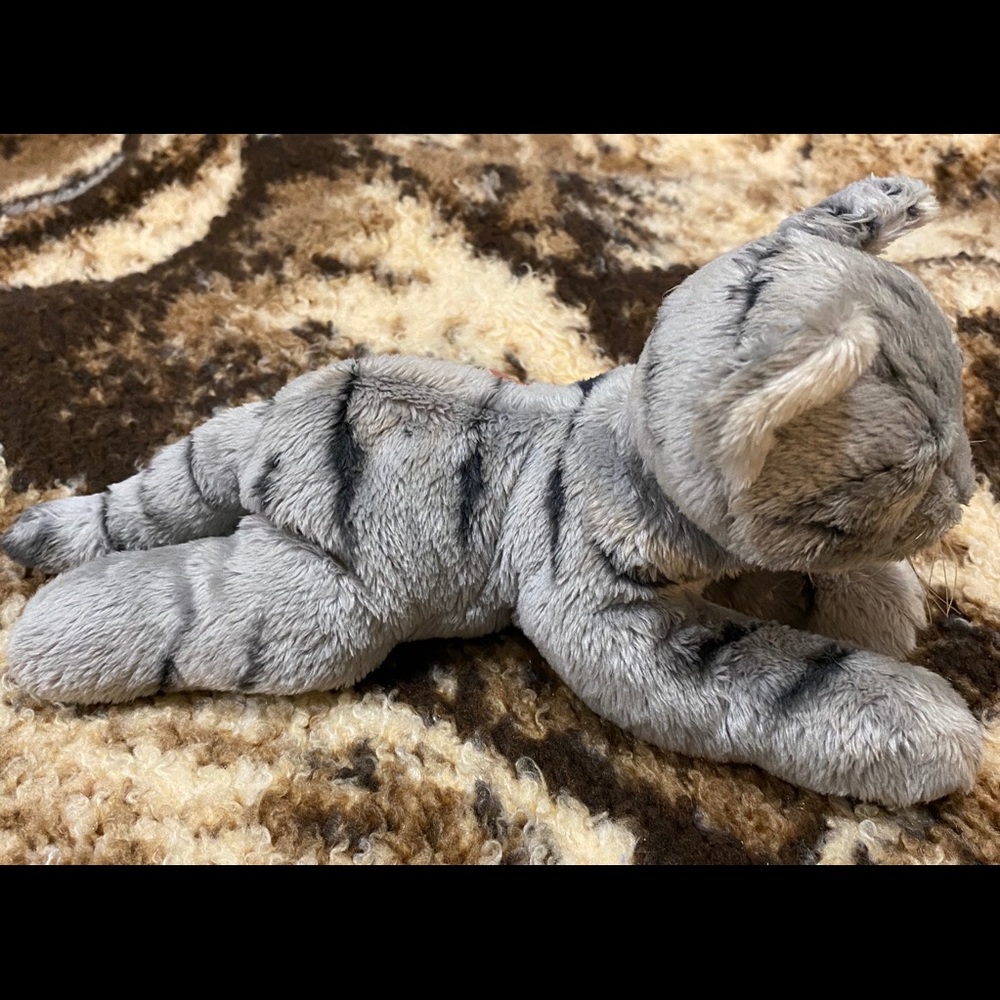 Tiger - Picture 2 of 4